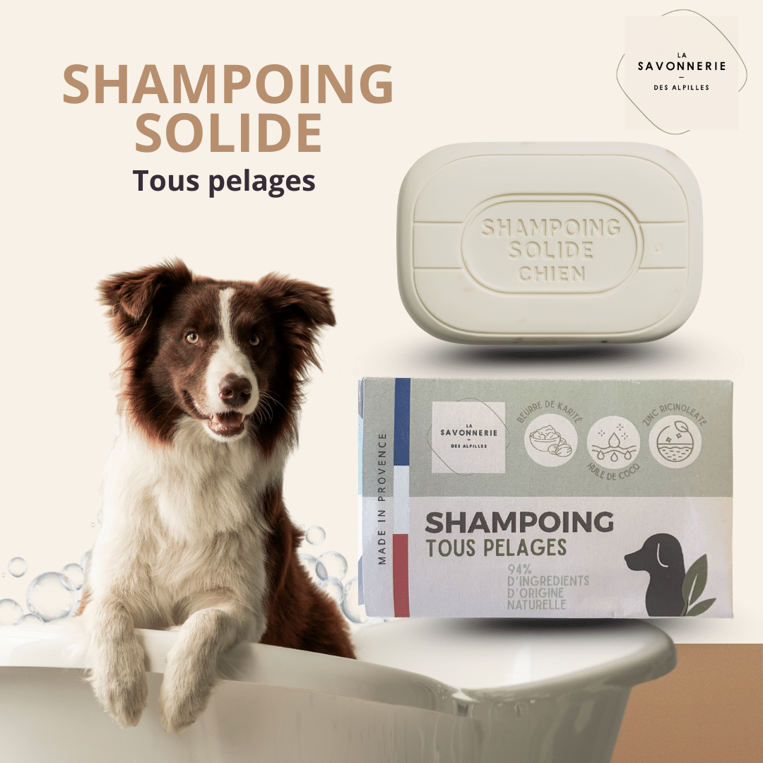 Shampoing Solide Animaux - Pet Care