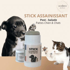 Stick Assainissant pattes Animaux - Pet Care