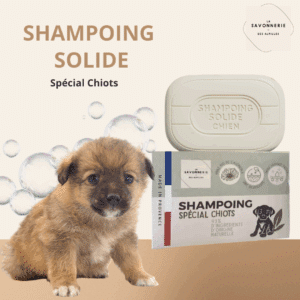 Shampoing Solide Chiot -Pet Care